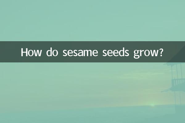 ゴマはどうやって育つの?