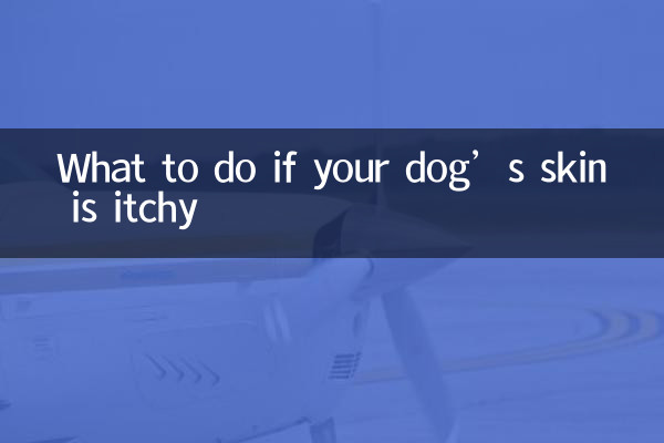 What to do if your dog’s skin is itchy
