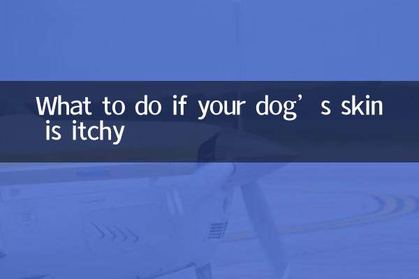 Qué hacer si a tu perro le pica la piel