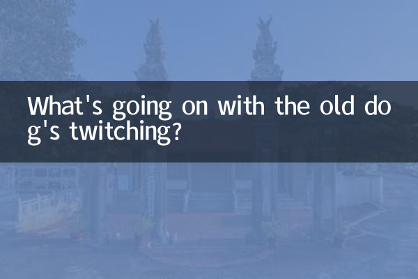 ما الذي يحدث مع ارتعاش الكلب العجوز؟