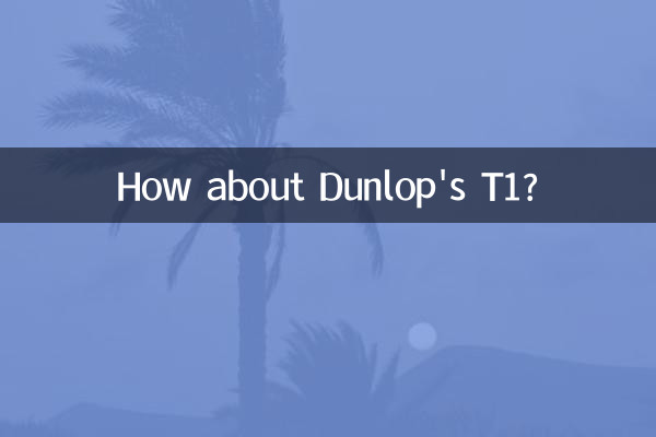 ダンロップのT1ってどうですか?