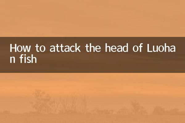 Como atacar a cabeça do peixe Luohan
