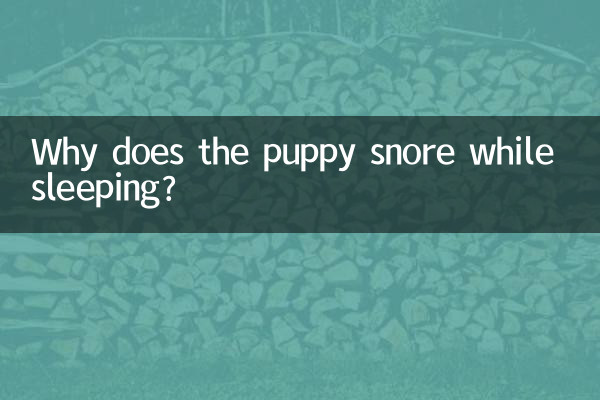 小狗睡覺打呼怎麼回事