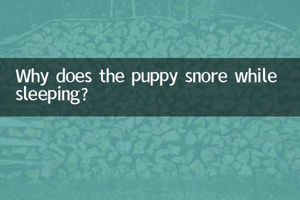 小狗睡覺打呼怎麼回事