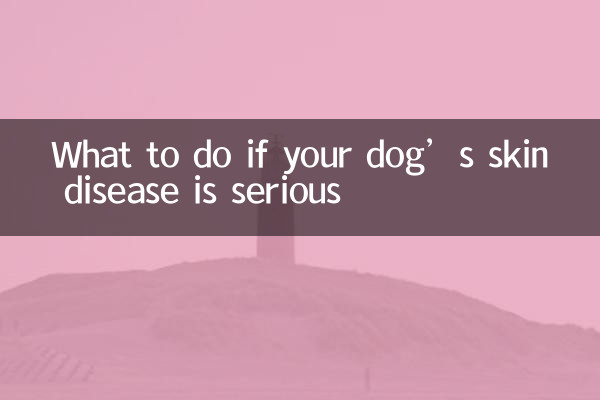 Cosa fare se la malattia della pelle del tuo cane è grave