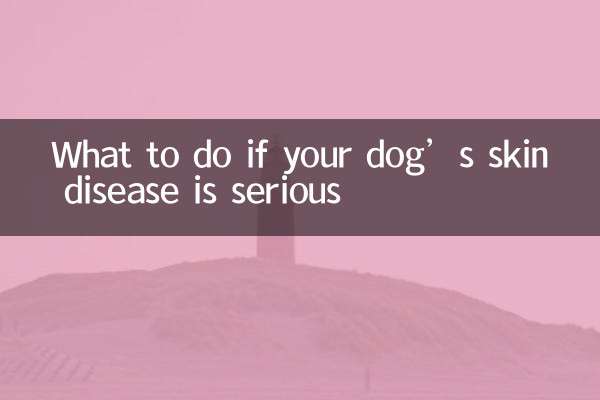 Cosa fare se la malattia della pelle del tuo cane è grave