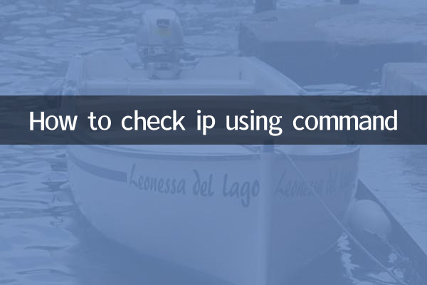 How to check ip using command