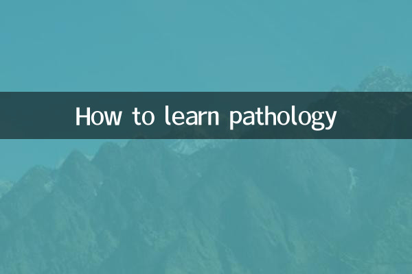 병리학을 배우는 방법