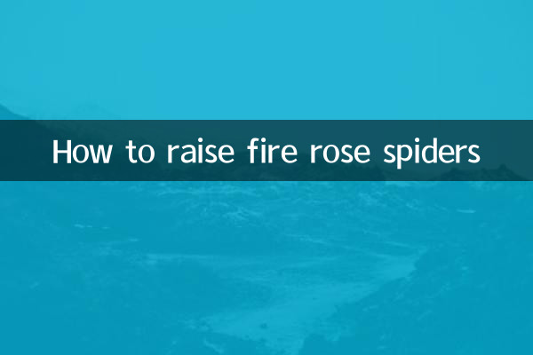 불 장미 거미를 키우는 방법