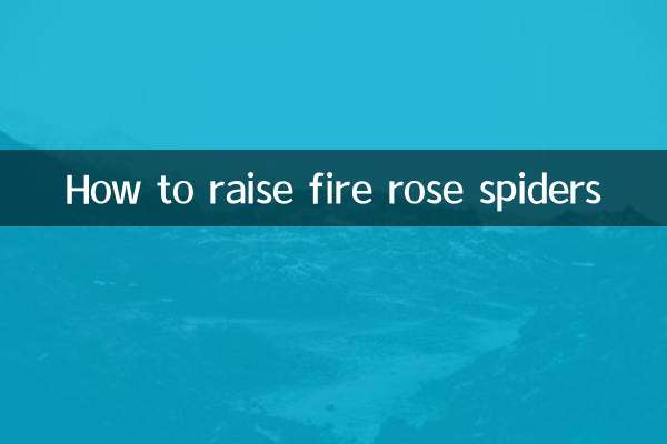 Come allevare i ragni rosa di fuoco