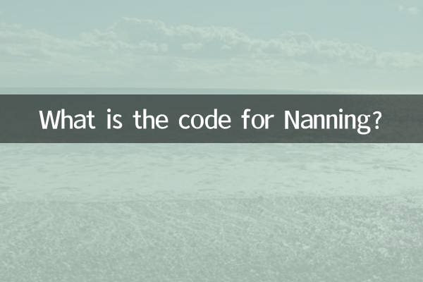 난닝의 코드는 무엇입니까?