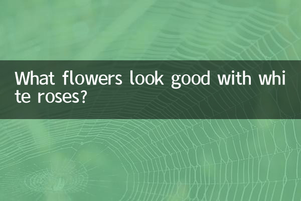 ما الزهور تبدو جيدة مع الورود البيضاء؟