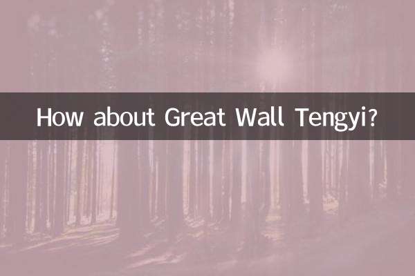 ¿Qué tal la Gran Muralla Tengyi?
