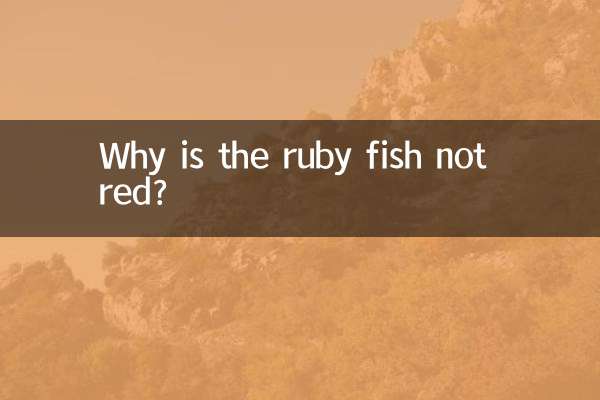 Pourquoi le poisson rubis n'est-il pas rouge ?