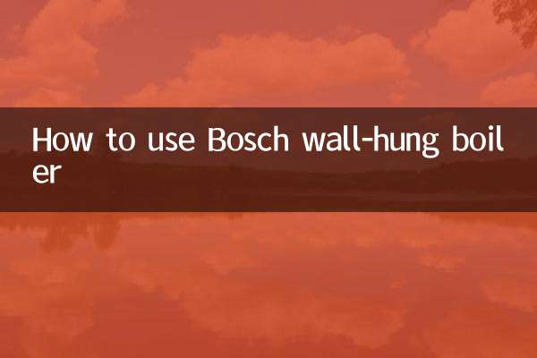 بوش وال ہنگ بوائلر کا استعمال کیسے کریں