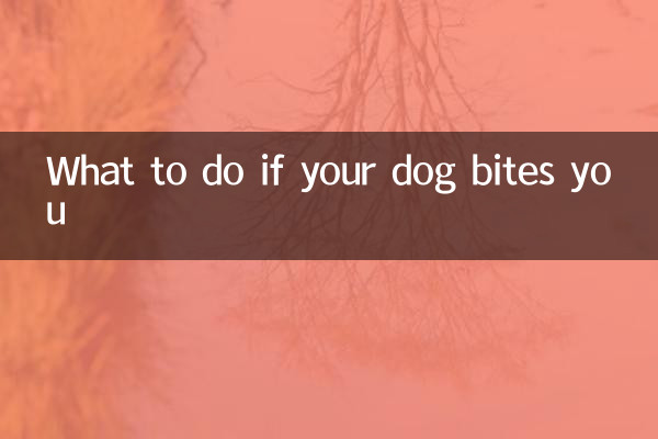 Qué hacer si tu perro te muerde