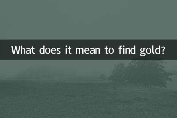 এটা কি স্বর্ণ খুঁজে মানে?