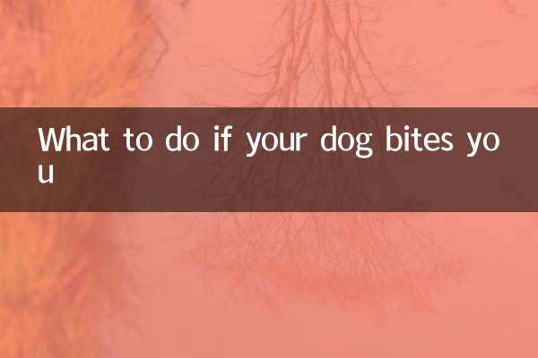 Qué hacer si tu perro te muerde