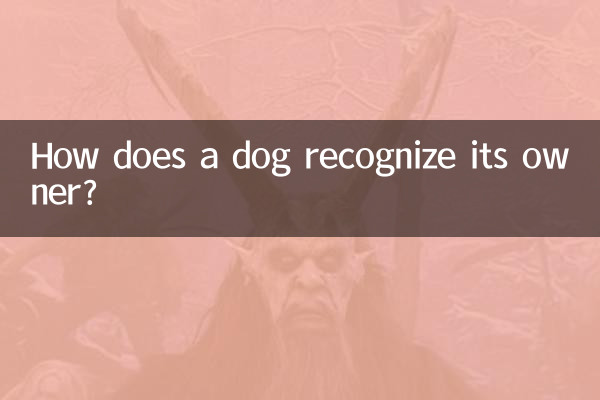 Come fa un cane a riconoscere il suo padrone?