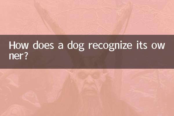 एक कुत्ता अपने मालिक को कैसे पहचानता है?