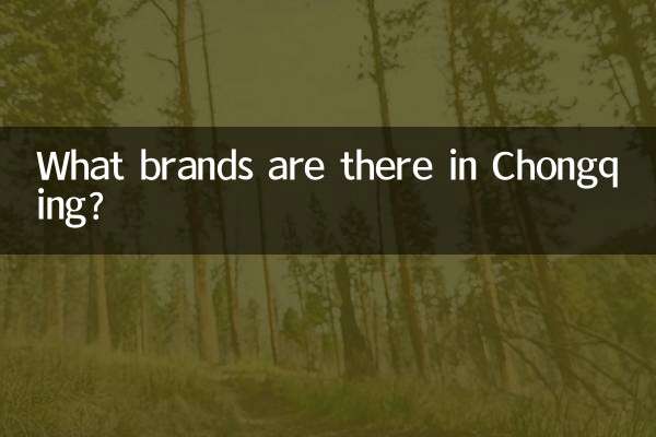 충칭에는 어떤 브랜드가 있나요?