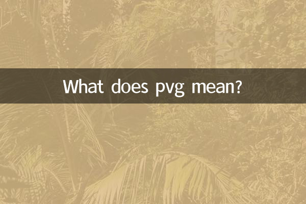 Was bedeutet pvg?