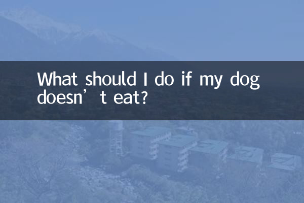 আমার কুকুর যদি না খায় তবে আমার কী করা উচিত?