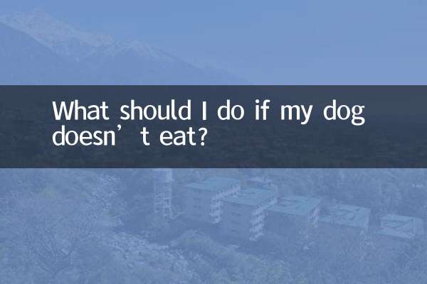 ¿Qué debo hacer si mi perro no come?