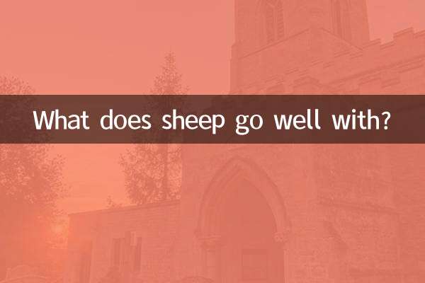 С чем хорошо сочетаются овцы?