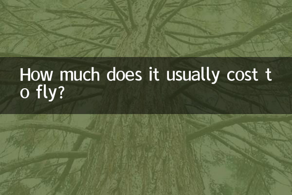 보통 비행기 타는 데 비용이 얼마나 드나요?