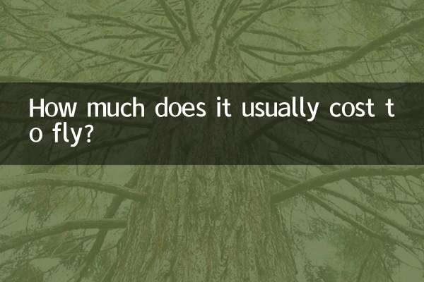 كم يكلف الطيران عادة؟