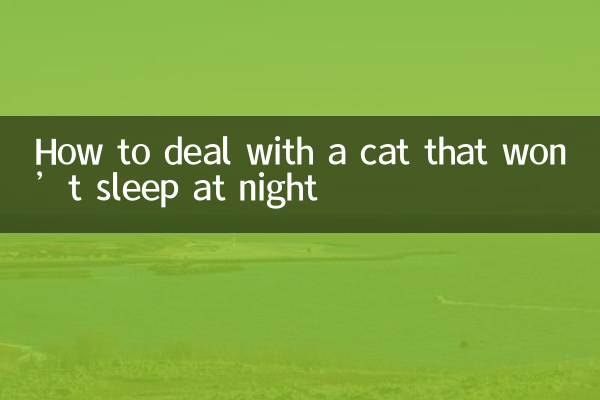 How to deal with a cat that won’t sleep at night