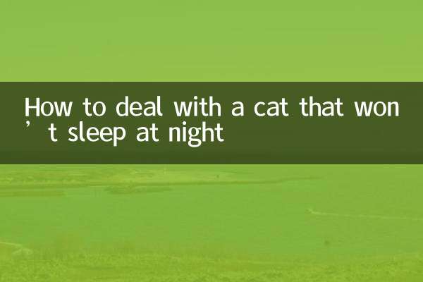 How to deal with a cat that won’t sleep at night