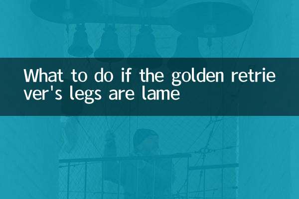 What to do if the golden retriever's legs are lame