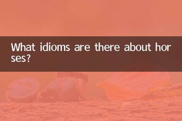 Quels idiomes existe-t-il à propos des chevaux ?