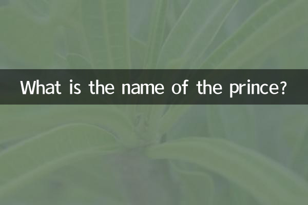 রাজপুত্রের নাম কি?
