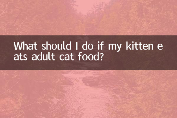 আমার বিড়ালছানা যদি প্রাপ্তবয়স্ক বিড়ালের খাবার খায় তবে আমার কী করা উচিত?