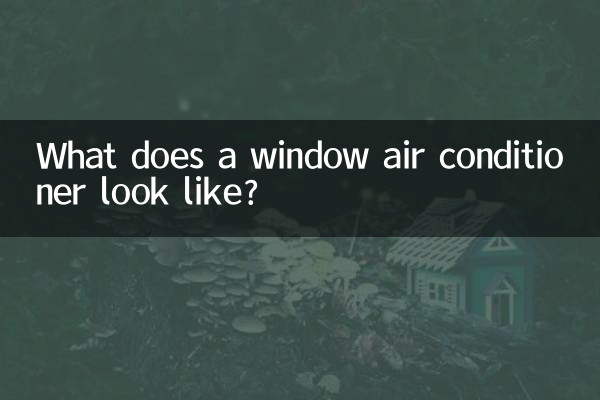 Che aspetto ha un condizionatore da finestra?