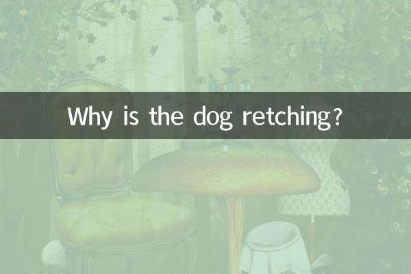 Why is the dog retching?