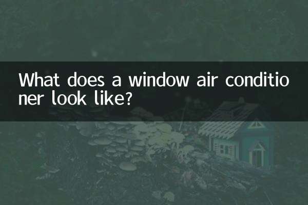 Che aspetto ha un condizionatore da finestra?