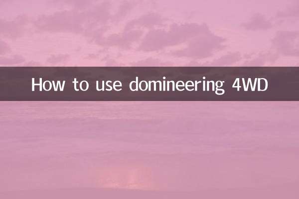 横暴な4WDの使い方