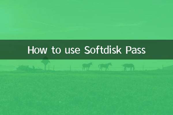 소프트디스크 패스 사용 방법