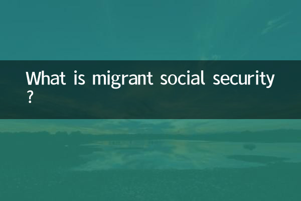 Что такое социальное обеспечение мигрантов?