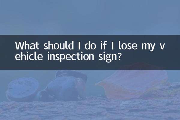 车检标志丢了怎么办