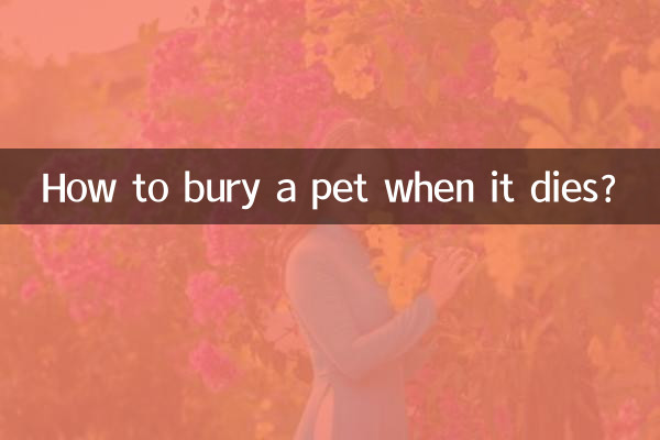宠物死了怎么安葬