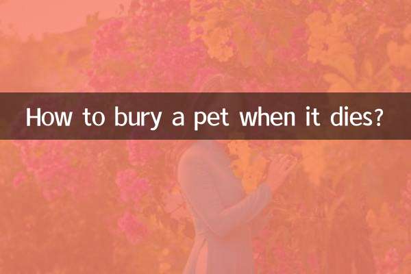 宠物死了怎么安葬