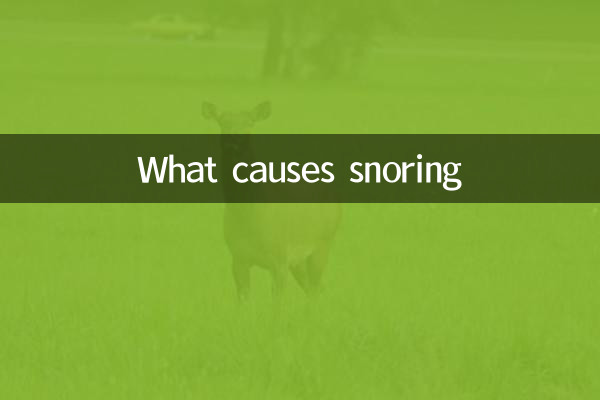什麼原因導致打鼾
