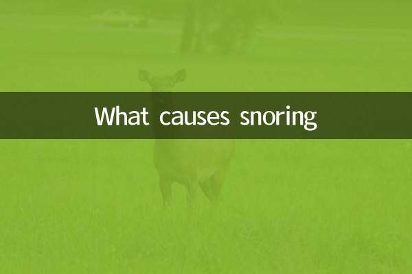 什麼原因導致打鼾