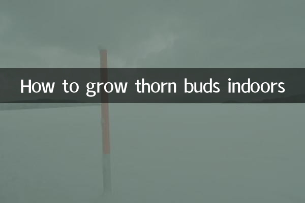 How to grow thorn buds indoors
