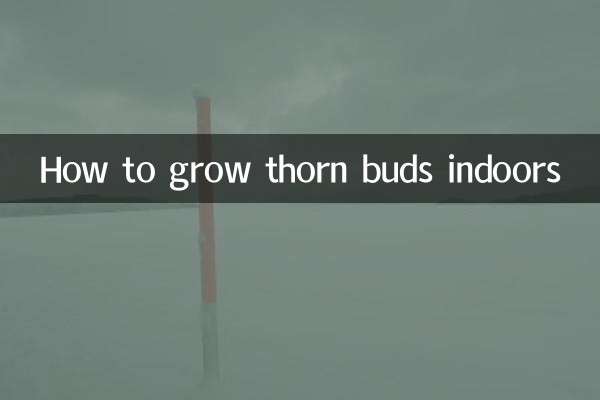 How to grow thorn buds indoors